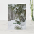 Zoek naar mussen posters Fotografie