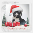 Zoek naar grappig kerst stickers Kat