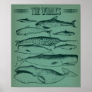 Zoek naar oude afbeeldingen posters Vintage