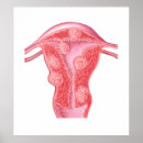 Zoek naar pathologie kunst Anatomie