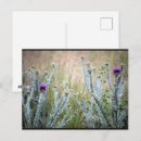 Zoek naar distel briefkaarten Elk persoon