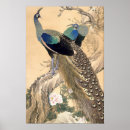 Zoek naar pauw kunst Bloem