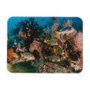 Zoek naar aquarium magneten Aquatisch