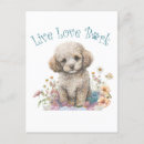 Zoek naar poedel hond briefkaarten Aangepast