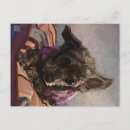 Zoek naar poedel hond briefkaarten Vriend