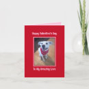 Zoek naar humoristische honden kaarten Voor haar