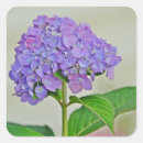 Zoek naar lavendel knutsel hobby Bloesem