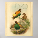 Zoek naar geelgroen posters Vintage