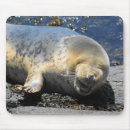 Zoek naar zeehond muismatten Schattig