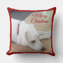 Zoek naar labrador retriever kussens Schattig
