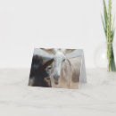 Zoek naar baby ezel kaarten Dieren