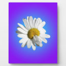 Zoek naar blauwe bloemen fotoplaat Elk persoon