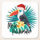 Zoek naar vogel bar drinkwaren Voor hem