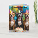 Zoek naar taart kaarten Hond