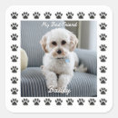 Zoek naar honden namen stickers Ieder kind