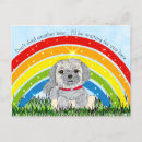 Zoek naar dog memorial kaarten Regenboog