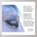 Zoek naar paard gedicht posters Paardengedicht