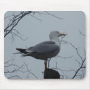 Zoek naar seagull muismatten Wild