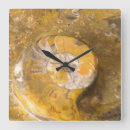 Zoek naar fossiel kunst Geologie