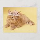 Zoek naar tiara briefkaarten Katten