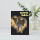 Zoek naar fox briefkaarten Hond