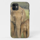 Zoek naar indische olifant iphone hoesjes Corbett