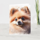Zoek naar pomeranian hond kaarten Schattig