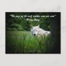 Zoek naar wilde wolven briefkaarten Landschap