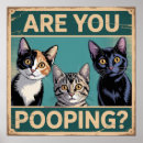 Zoek naar calico kat posters Katje