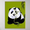 Zoek naar panda kinderkamer posters Beer