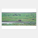 Zoek naar bizon stickers Bruin