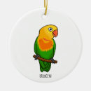 Zoek naar parrot ornamenten Parkiet