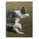 Zoek naar band notitieboeken Foto