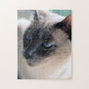 Zoek naar punten puzzels Siamese