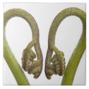 Zoek naar hartvorm tegels Niemand