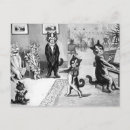 Zoek naar muziek katten briefkaarten Dieren