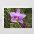 Zoek naar orchidee kaarten Elk persoon