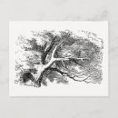 Zoek naar cheshire cat briefkaarten John tenniel
