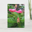 Zoek naar hibiscus kaarten Flower