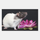 Zoek naar rat stickers knaagdieren