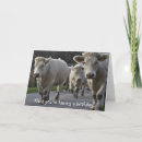 Zoek naar vache posters Boerderij