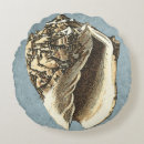 Zoek naar seashell kussens Kust