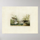 Zoek naar lithografie posters Illustratie