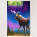 Zoek naar aurora borealis puzzels Kleurrijk