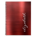 Zoek naar metal notitieboeken Geborsteld metaal