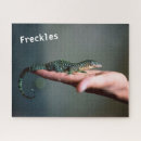 Zoek naar reptielen puzzels Gecko