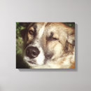 Zoek naar hondenliefhebber kunst Voor hem