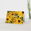 Zoek naar black eyed susan Tuin