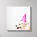 Zoek naar corgi Verjaardag
