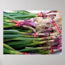 Zoek naar knoflook posters Groenten